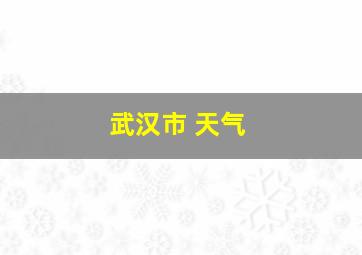 武汉市 天气